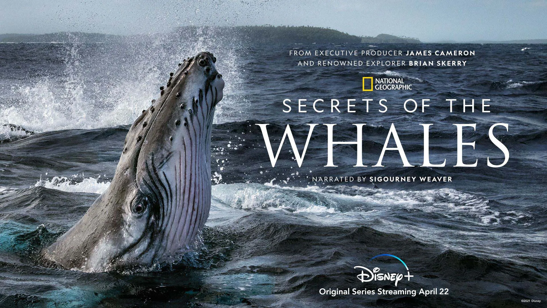 National Geographic Film Concert: Secret of the Whales