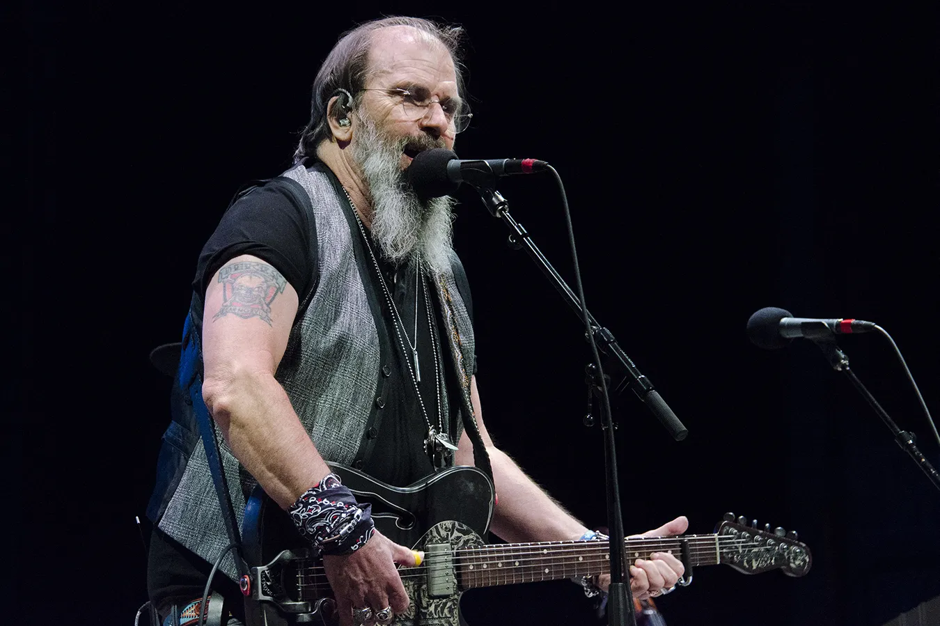 Steve Earle